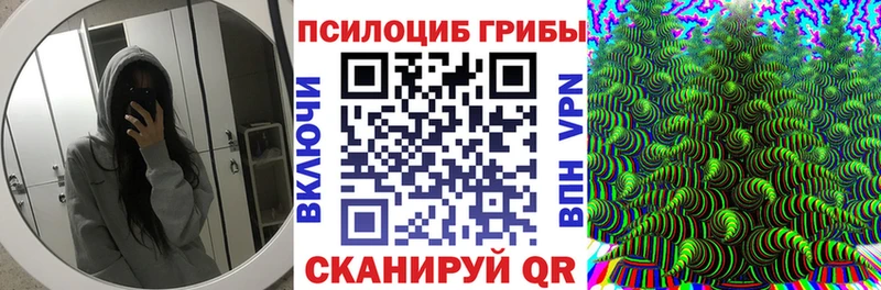 блэк спрут зеркало  Бежецк  Псилоцибиновые грибы ЛСД  наркотики 