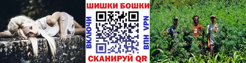 Бошки марихуана ГИДРОПОН  Бежецк 